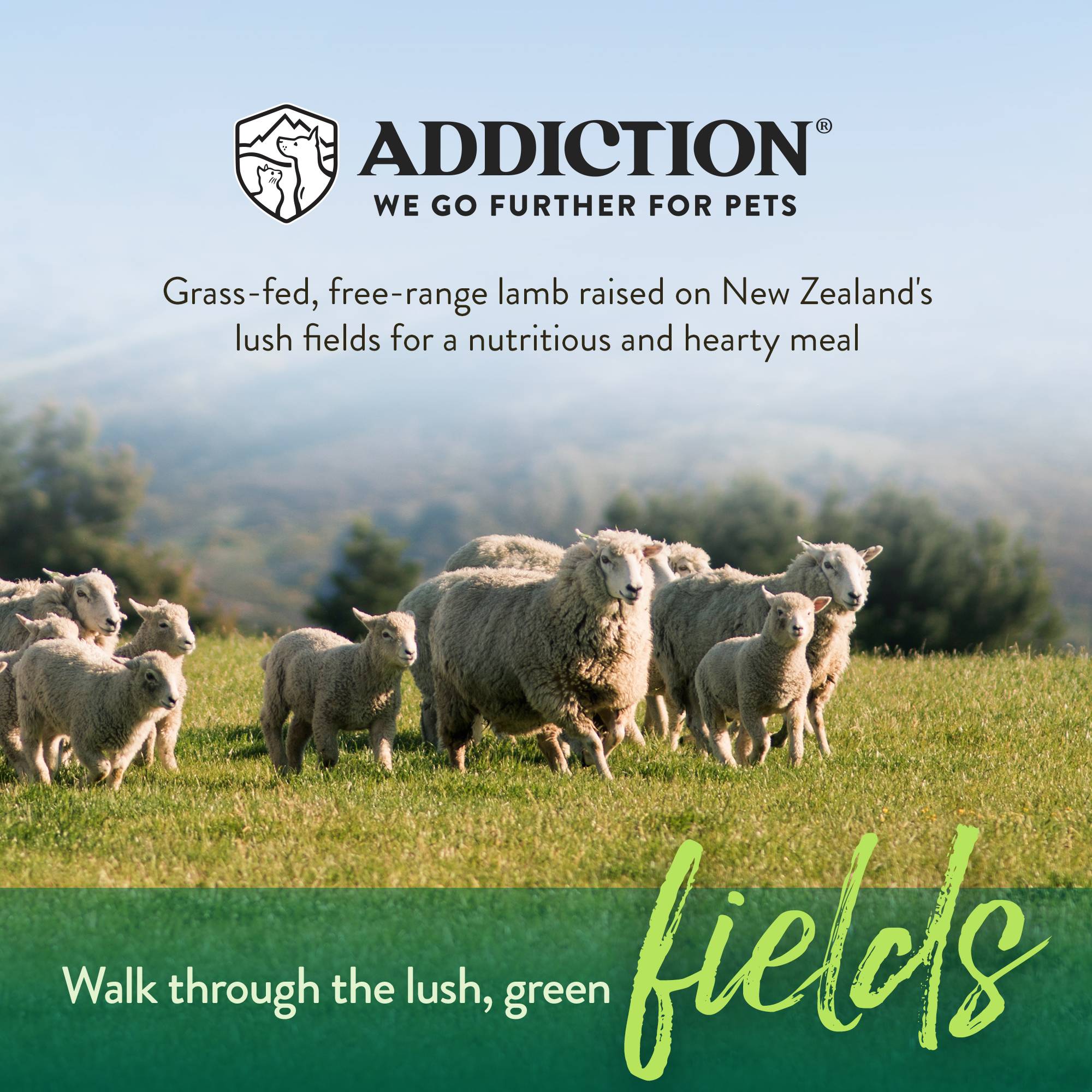 Addiction Le Lamb, Complete & Balanced, Digestive Health Dry Dog Food - Image 4