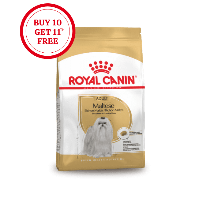 Royal Canin Maltese Adult Dry Food