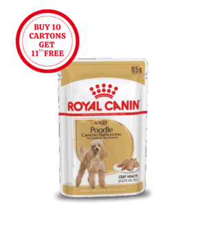 Royal Canin Poodle Adult Wet Food