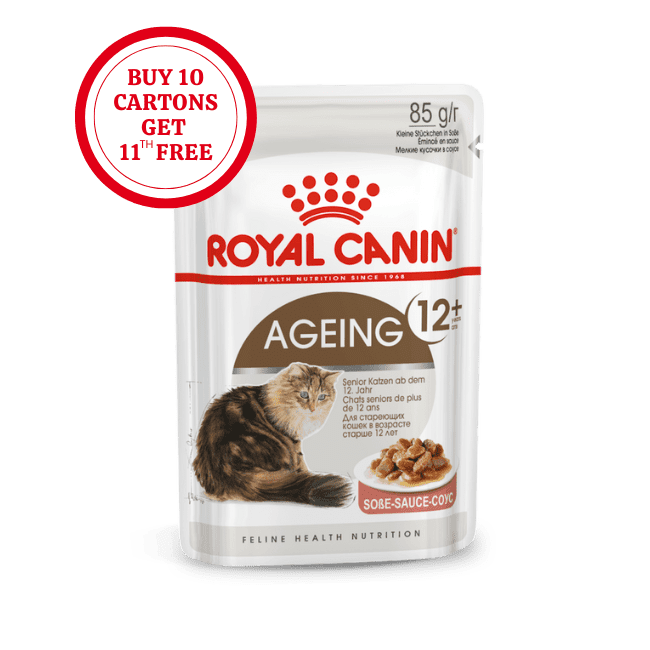 Royal Canin Ageing 12+ in Gravy