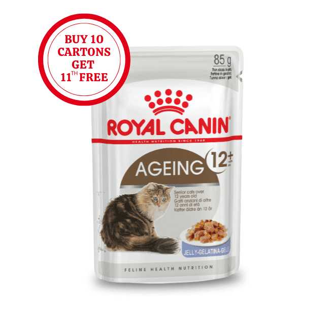 Royal Canin Ageing 12+ in Jelly