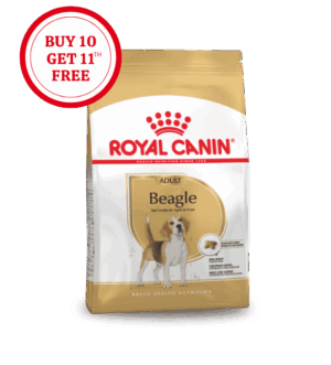 Royal Canin Beagle Adult Dry Food