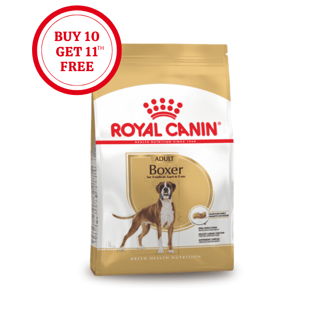 Royal Canin Boxer Adult Dry Food