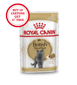 Royal Canin British Shorthair Adult Wet Formula