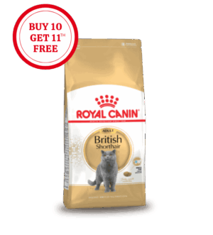 Royal Canin British Shorthair Adult