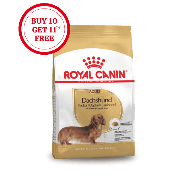 Royal Canin Dachshund Adult Dry Food