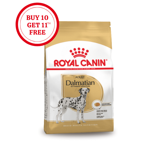 Royal Canin Dalmatian Adult Dry Food