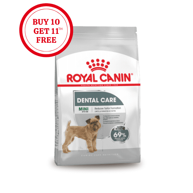 Royal Canin Mini Dental Care