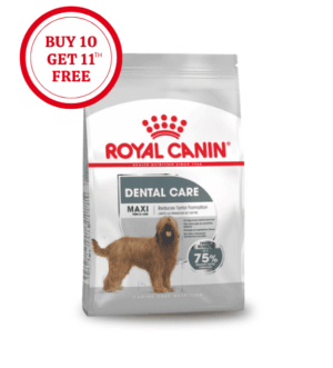 Royal Canin Maxi Dental Care