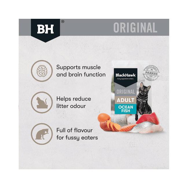 Black Hawk Cat Ocean Fish Dry Food - Image 3