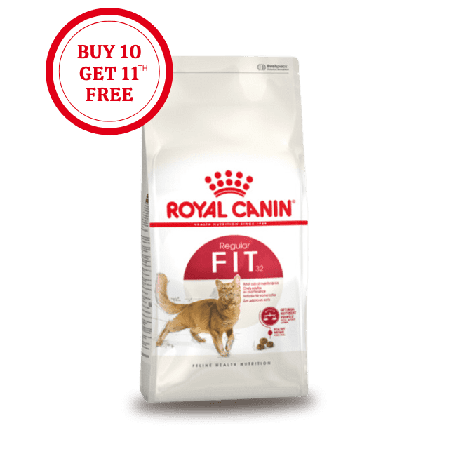 Royal Canin Regular Fit Cat Food