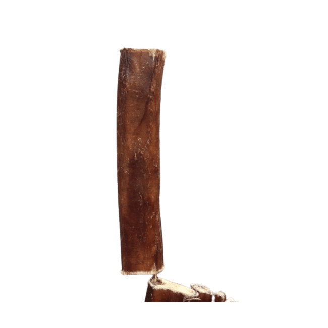 Ranger Beef Pizzle Chew 30cm - Image 3