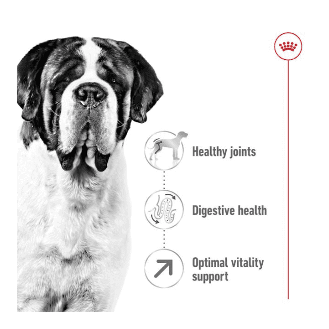 Royal Canin Giant Adult Dry Food - Image 4