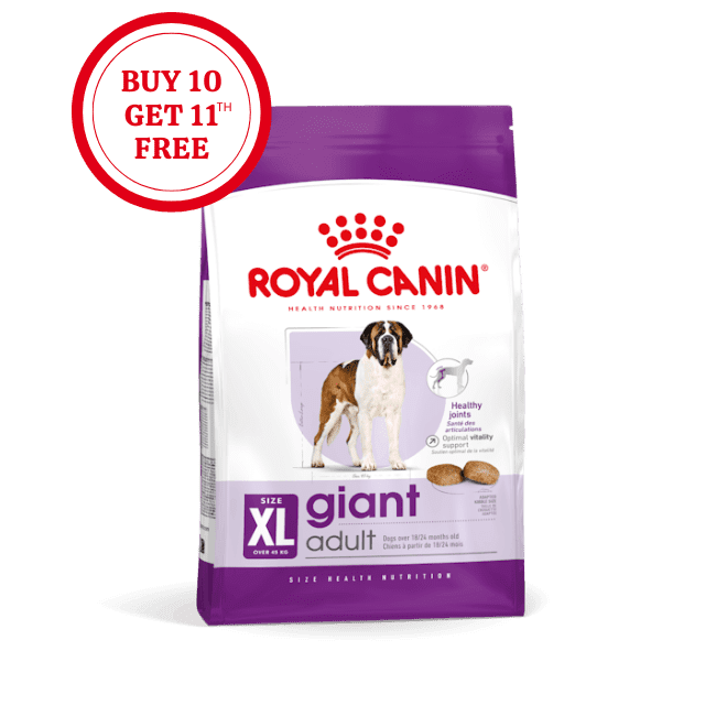 Royal Canin Giant Adult Dry Food
