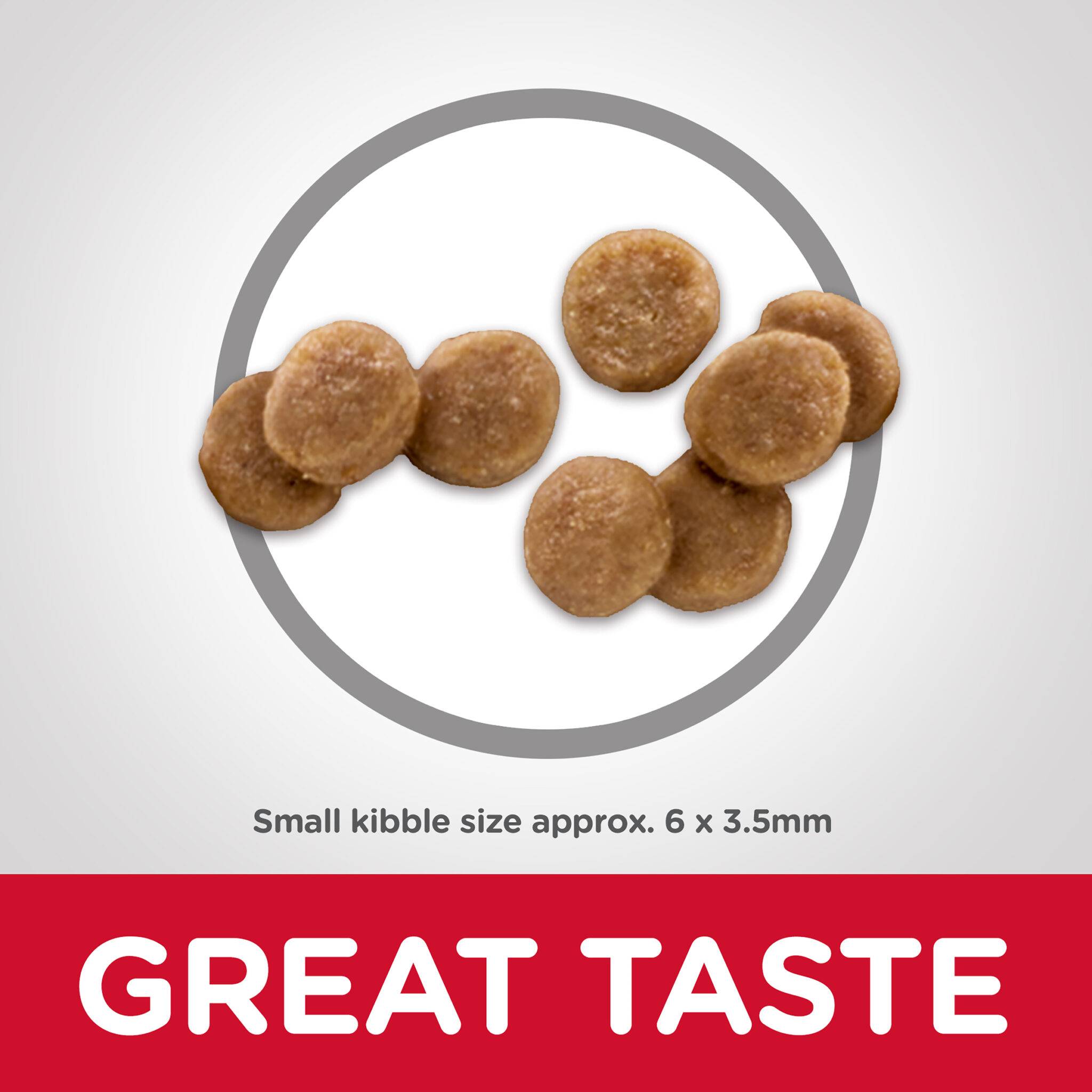 Hill's Science Diet Kitten Dry Cat Food - Image 3