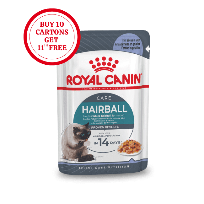 Royal Canin Hairball Care in Jelly