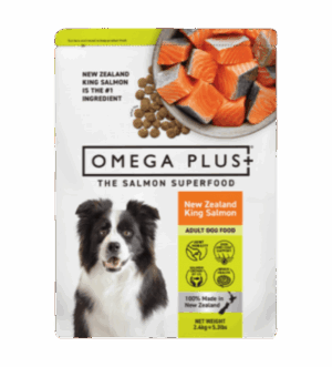 Omega Plus Dog King Salmon Dry Kibble