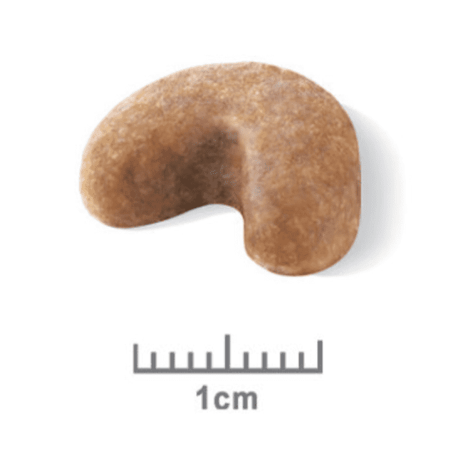 Royal Canin French Bulldog Puppy - Image 3