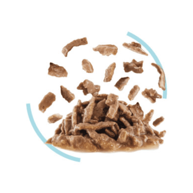 Royal Canin Sensory Feel Morsels in Gravy - Image 3