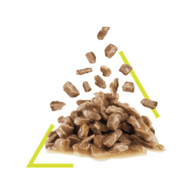 Royal Canin Sensory Smell Chunks in Jelly - Image 3