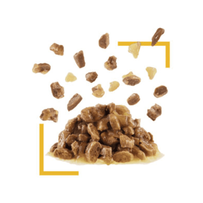 Royal Canin Sensory Taste Chunks in Jelly - Image 3