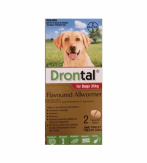 Drontal Flavoured AllWormer for Dogs 20kg-35kg