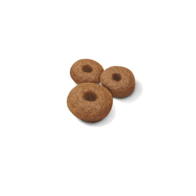 Royal Canin Maxi Starter Mother & Babydog Dry Food - Image 2