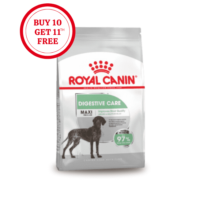 Royal Canin Maxi Digestive Care