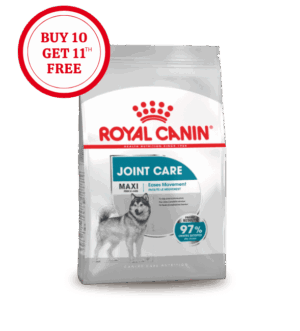 Royal Canin Maxi Joint Care