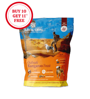 Addiction Outback Kangaroo Feast, Sensitive Care, Novel Protein Raw Alternative Dog Food