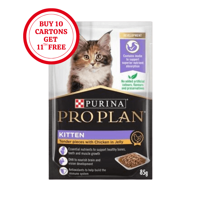 Pro Plan Kitten Wet Cat Chicken in Jelly