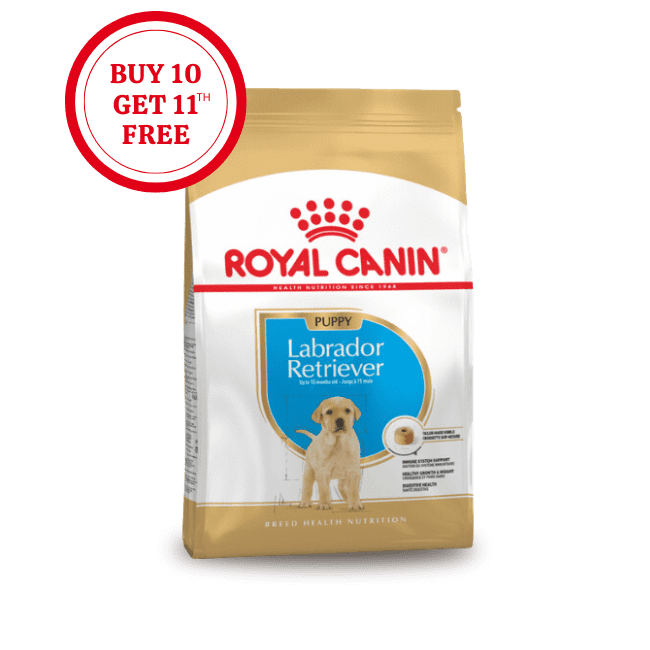 Royal Canin Labrador Retriever Puppy Dry Food
