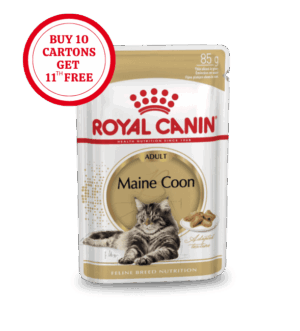 Royal Canin Maine Coon Adult Wet Food in Loaf