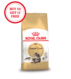 Royal Canin Maine Coon Adult