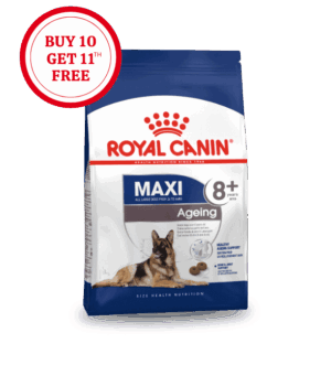 Royal Canin Maxi Ageing 8+ Dry Dog Food
