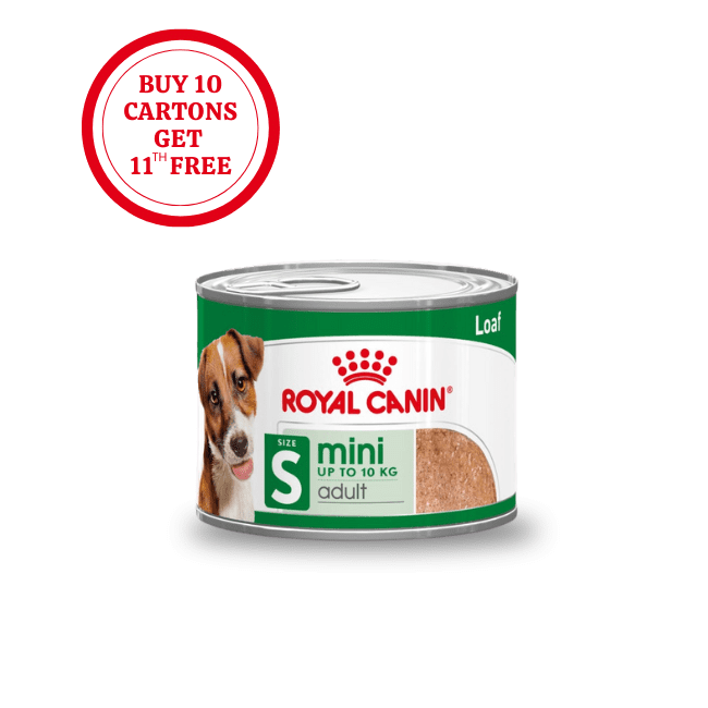 Royal Canin Mini Adult Loaf Wet Food