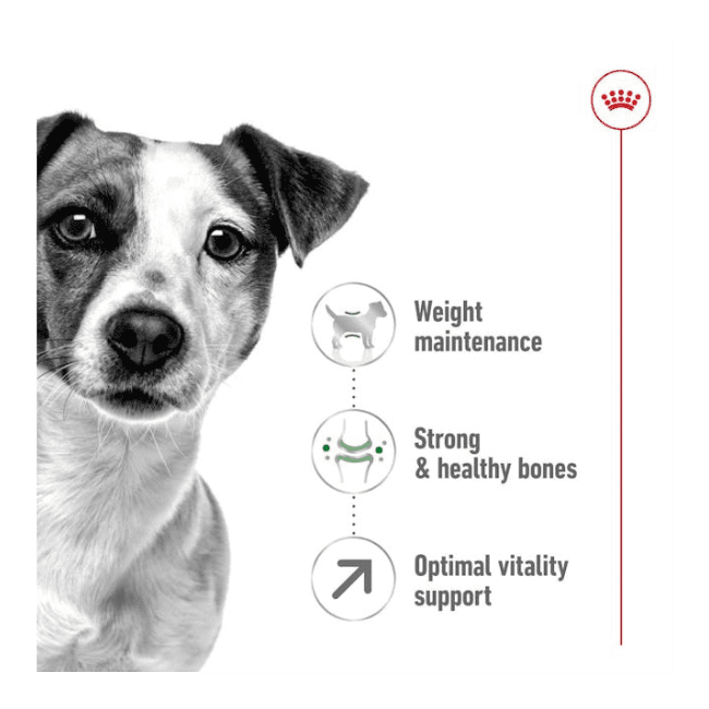 Royal Canin Senior Mini Adult 8+ Dry Food - Image 3