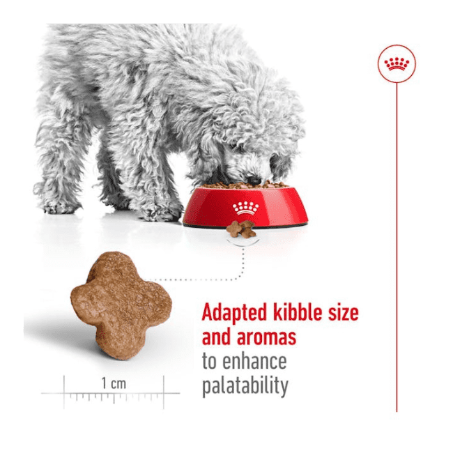 Royal Canin Senior Mini Adult 8+ Dry Food - Image 2