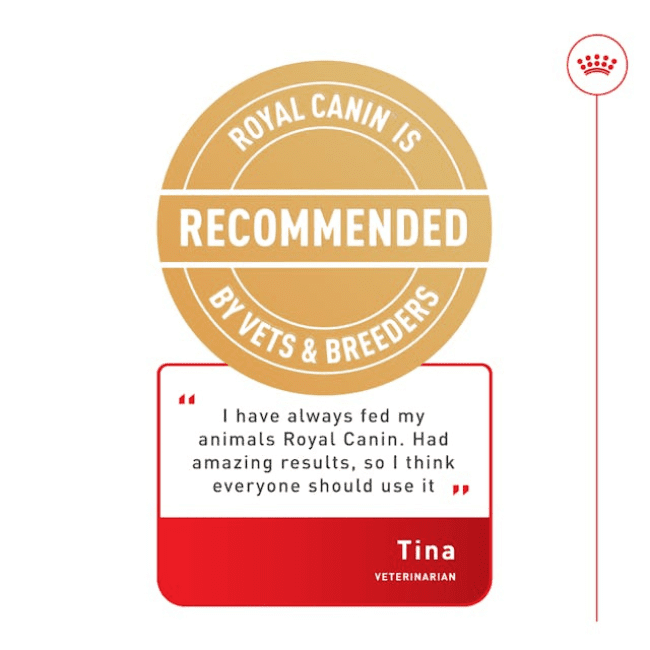 Royal Canin Senior Mini Adult 8+ Dry Food - Image 6