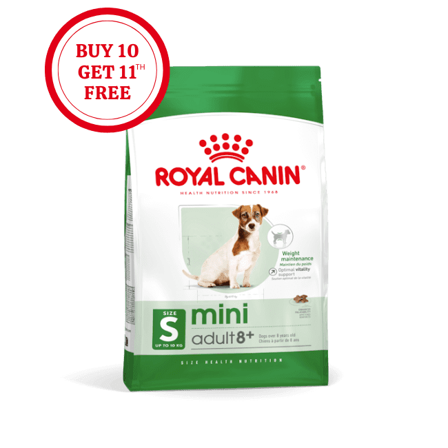 Royal Canin Senior Mini Adult 8+ Dry Food