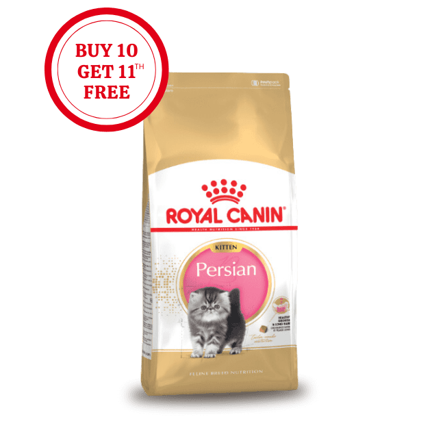 Royal Canin Persian Kitten