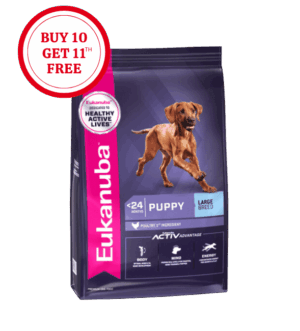 Eukanuba Puppy Large Breed Dry Dog Food