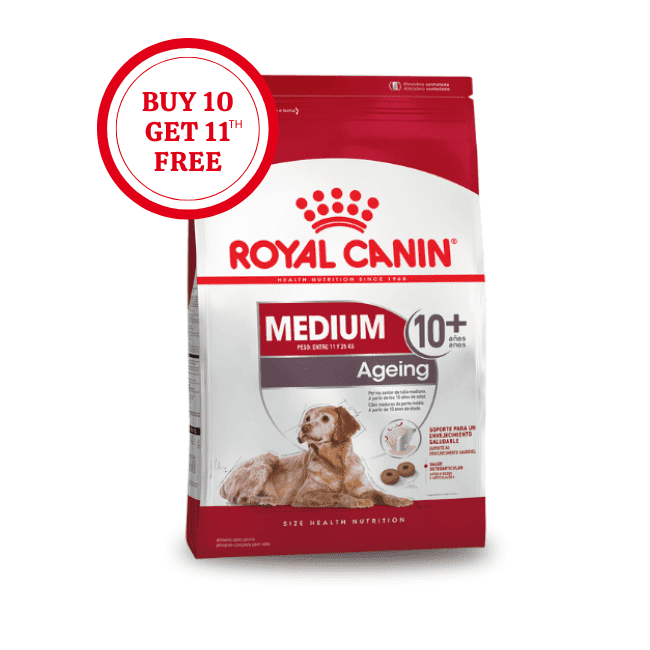 Royal Canin Medium Ageing 10+ Dry Dog Food
