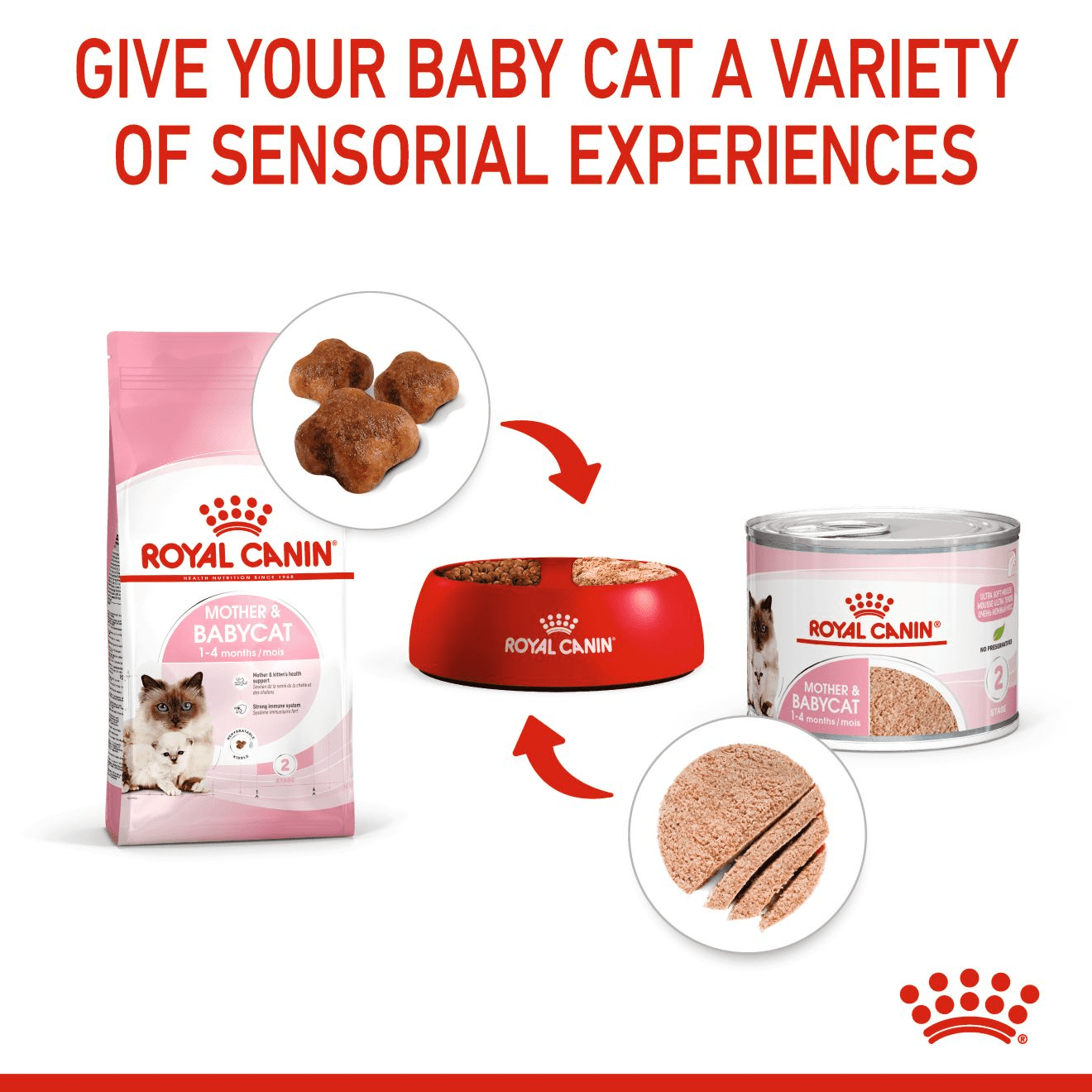 Royal Canin Mother & Babycat Mousse - Image 3