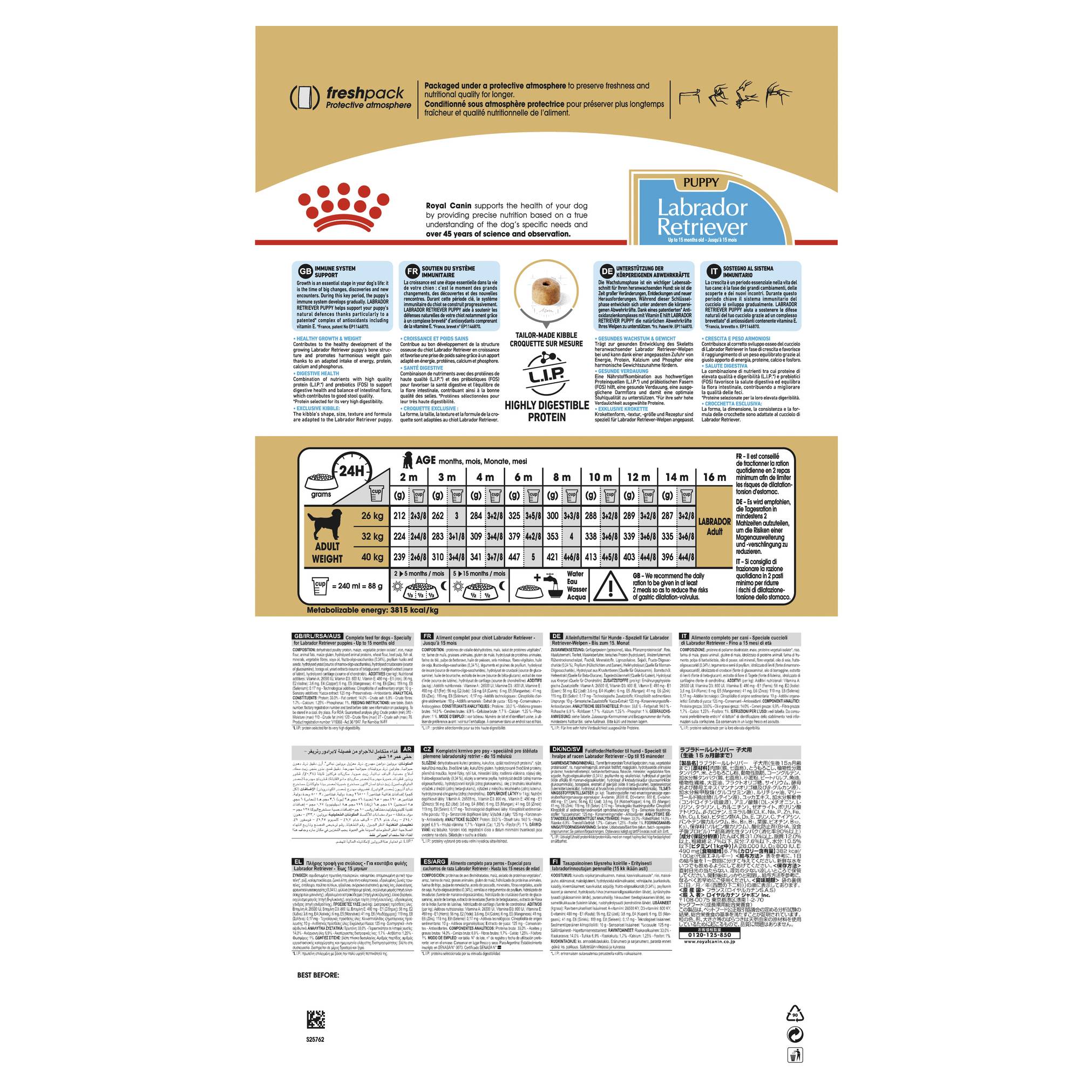 Royal Canin Labrador Retriever Puppy Dry Food - Image 2
