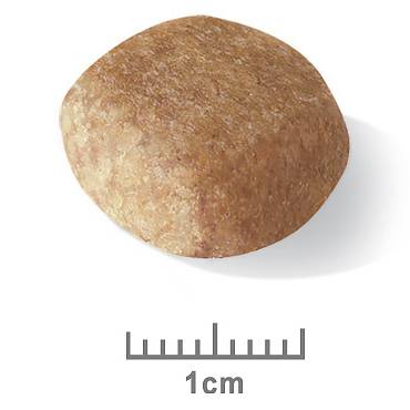 Royal Canin Miniature Schnauzer Adult Dry Food - Image 3