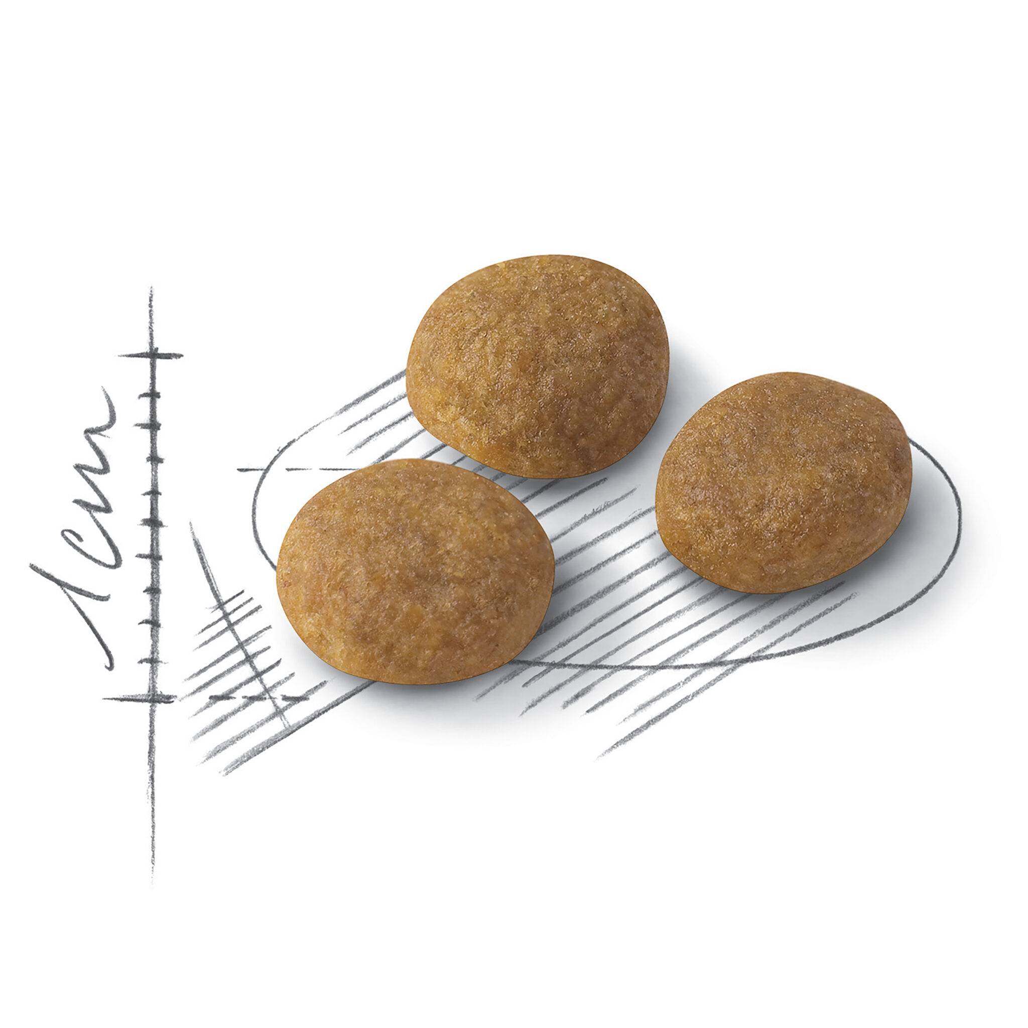 Royal Canin Exigent Aromatic Attraction - Image 2