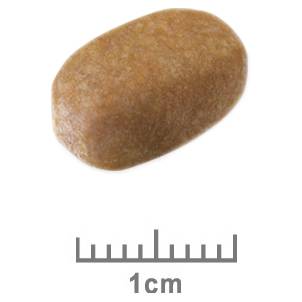 Royal Canin Maltese Adult Dry Food - Image 3