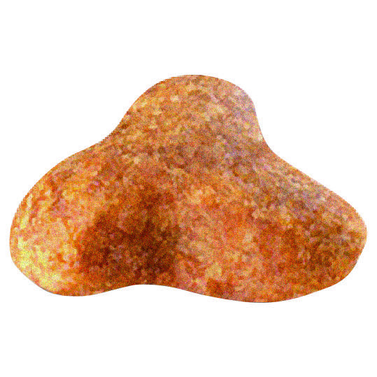 Royal Canin Pug Adult Dry Food - Image 3