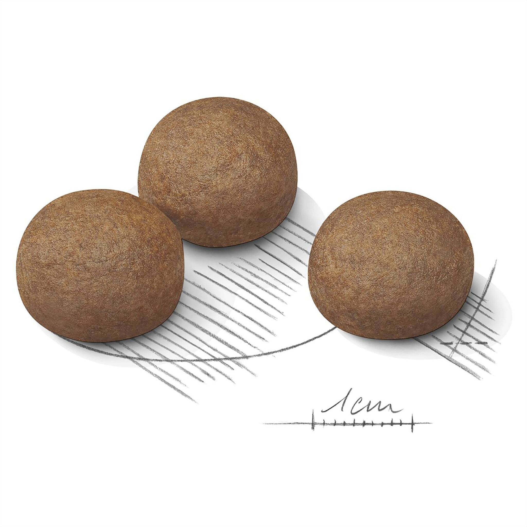 Royal Canin Maxi Digestive Care - Image 3